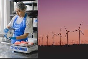 Due nuovi corsi di studio per l'anno accademico 2024-25 Due nuovi corsi di studio per l'anno accademico 2024-25