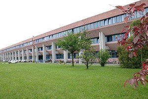 Campus dei Rizzi, nuova illuminazione di sicurezza Campus dei Rizzi, nuova illuminazione di sicurezza