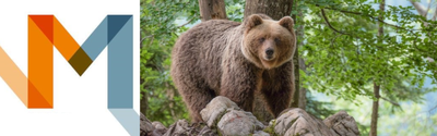 Summer School Tecniche e metodi per il monitoraggio della fauna selvatica omeoterma e per favorire la coesistenza con le attività umane