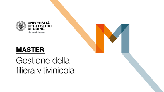 Guarda il video del Master!