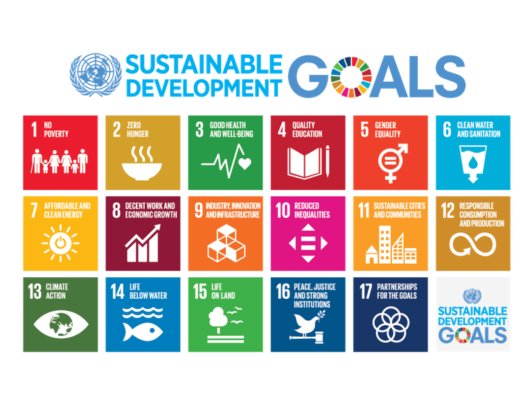 787px-Sustainable_Development_Goals_chart.svg (1).png