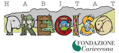 edit FONDAZIONE CARIVERONA - Habitat Preciso